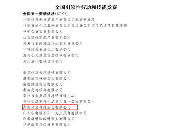 國家級榮譽！頂立科技榮獲“全國五一勞動獎狀”.png